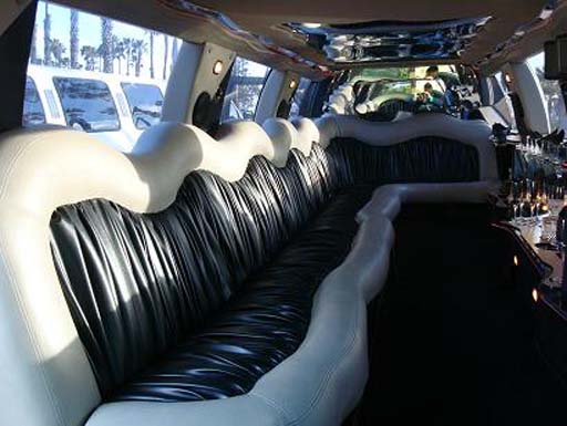 12-16 Passenger Excursion Limousine