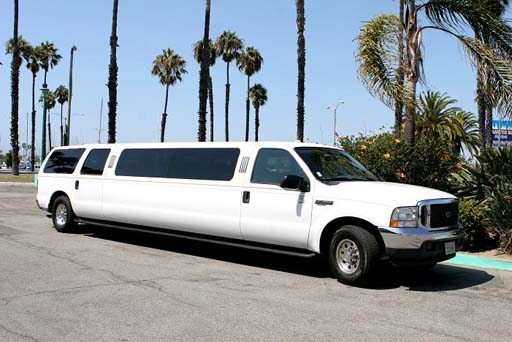 12-16 Passenger Excursion Limousine