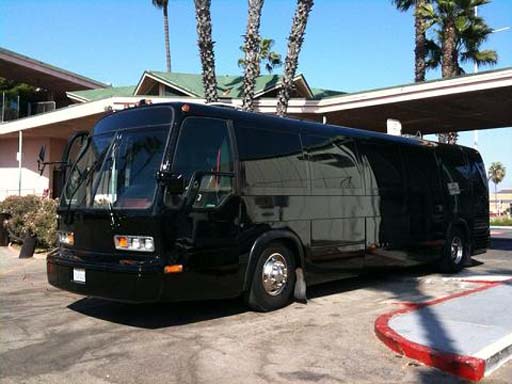 36 Passenger Party Bus