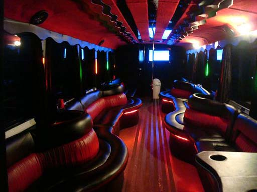 45 Passenger Party Bus